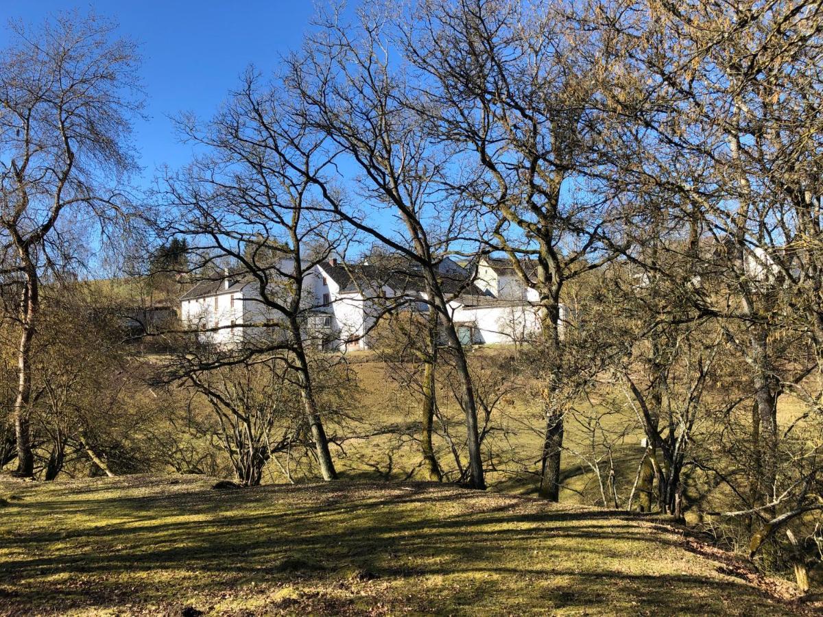 Ferienhaus Rehblick Rockeskyll エクステリア 写真