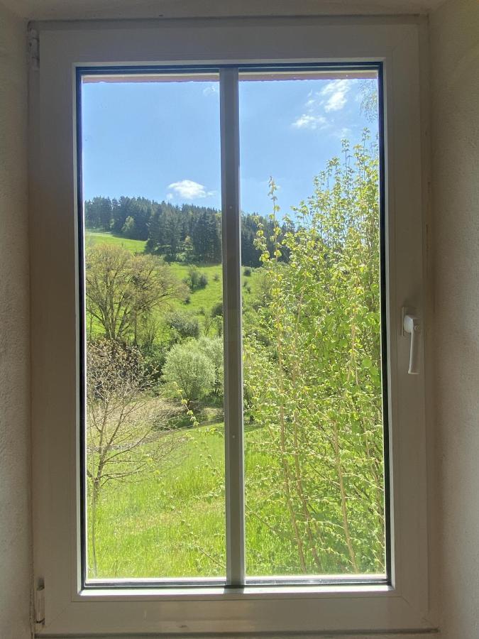 Ferienhaus Rehblick Rockeskyll エクステリア 写真
